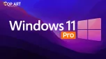 Windows 11 Pro